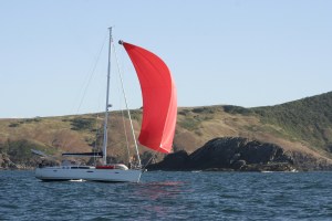 A Small Nest Spinnaker