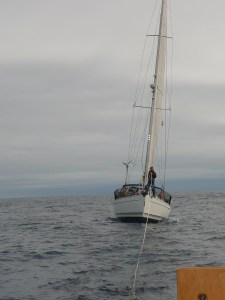 HeckoGecko an der Angel