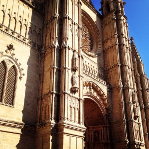 palma1