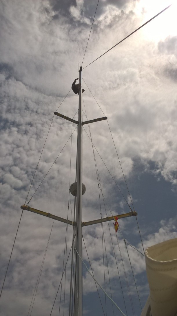 WP_20160707_14_38_41_Pro