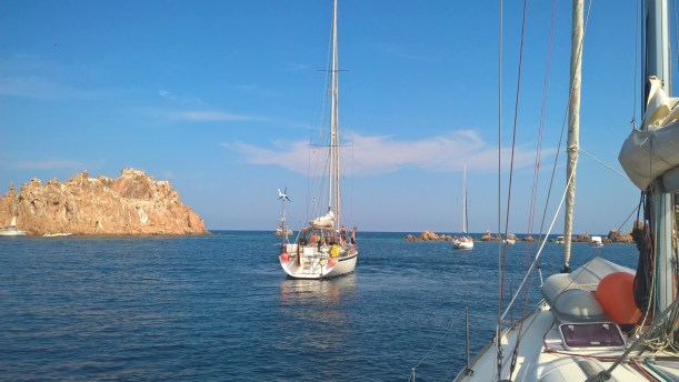 WP_20180728_16_32_17_Pro